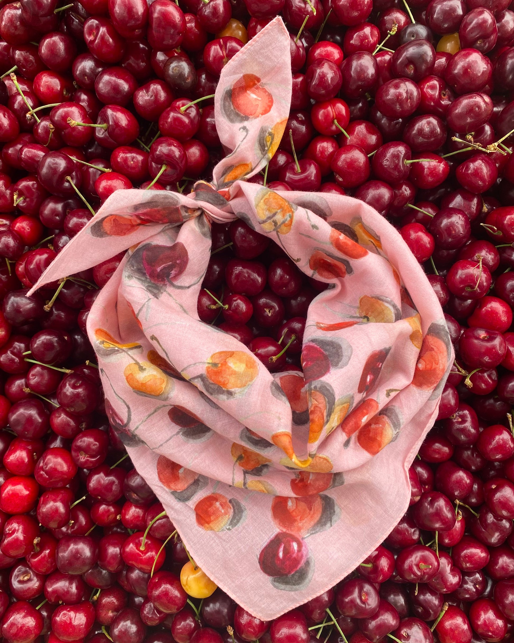 Pink Cherry Bandana