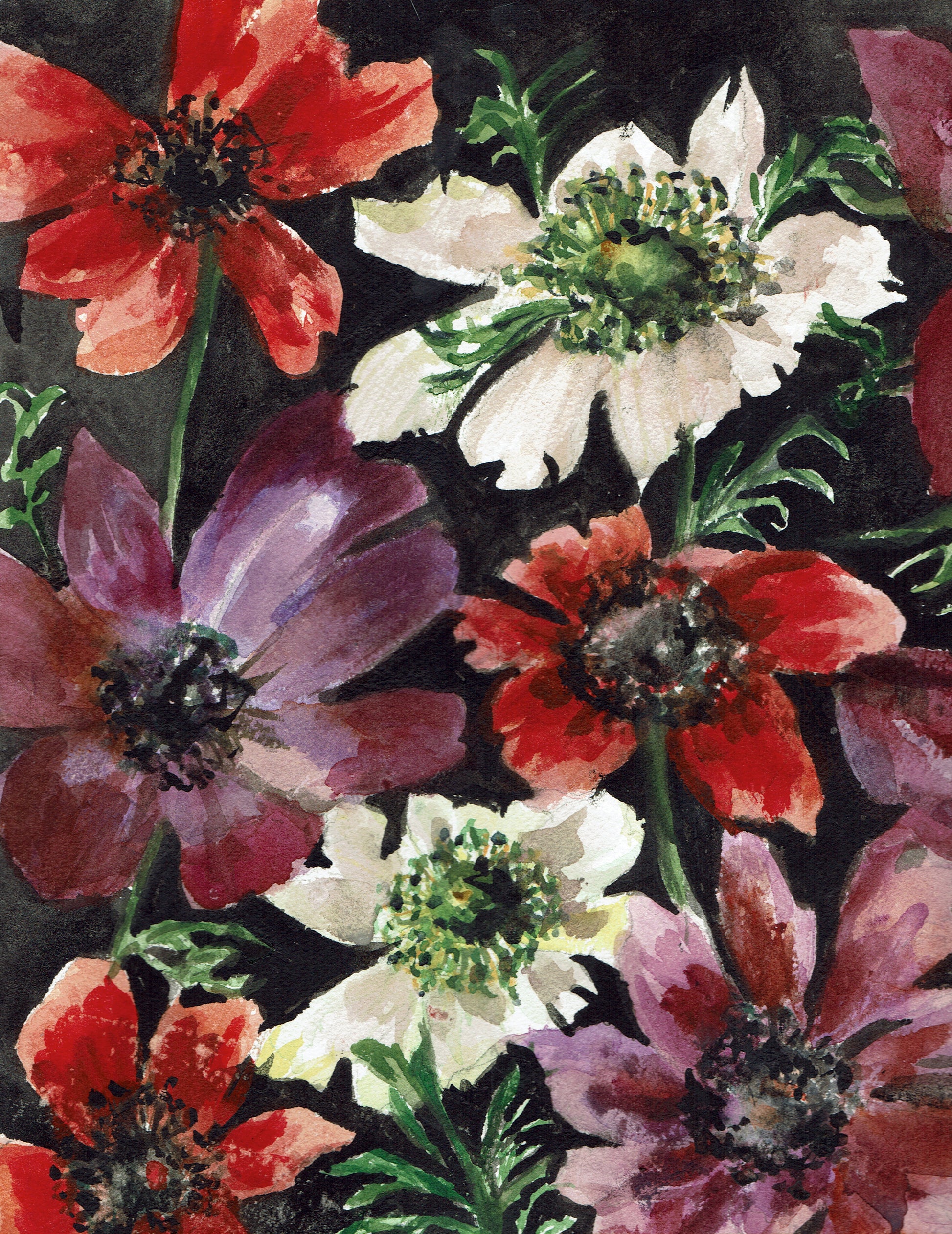 Anemone Bandana