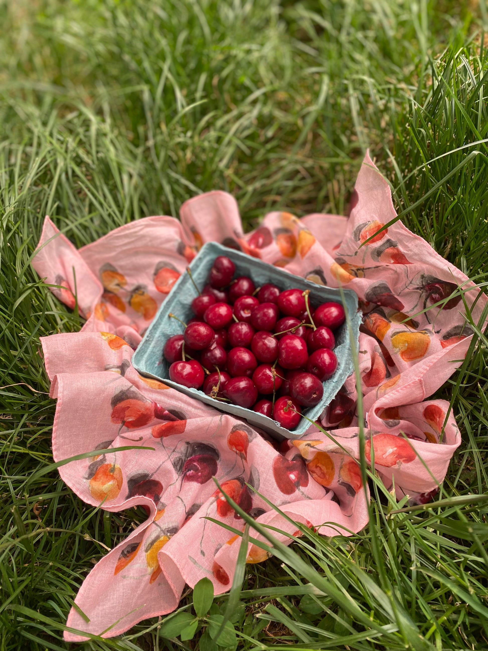 Pink Cherry Scarf