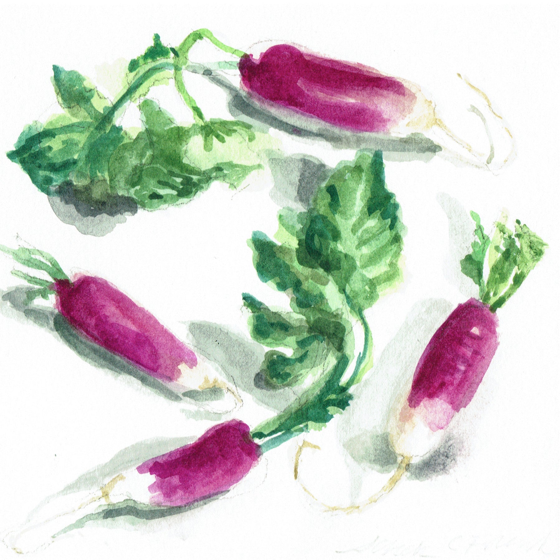 Radish Scarf